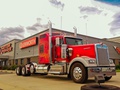 Kenworth Truck Sales & Service