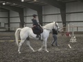 Gold Creek Equestrian Center
