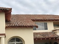 Roman Roofing Inc