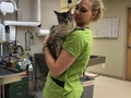 Birch Lake Animal Hospital Pa
