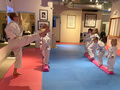 United States Karate Academy
