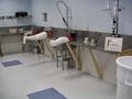 Presque Isle Medical Technology