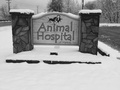 Animal Hospital of Marion Inc