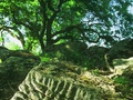 Maidu Interpretive Center