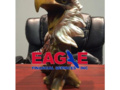 Eagle Loan