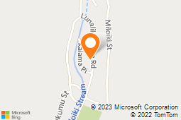 The Blue Star Agency