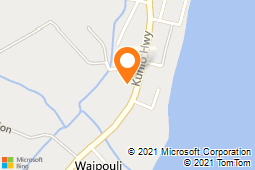 Island Palm Island Style Grill & Bar