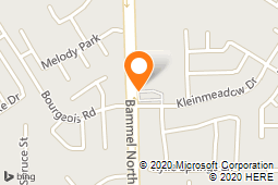 Merry Maids - Champions 1960