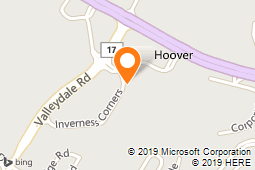 Agelient Information Group - LLC