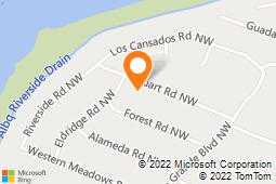 Bea's Silver Hummingbird