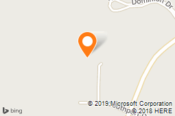 Blue Diamond Transportation