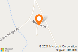 Dr Adriano Betton Mobile Veterinary Care