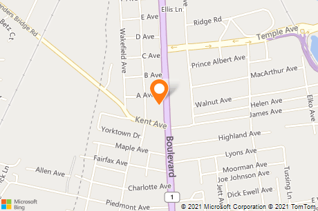 TitleMax Title Loans