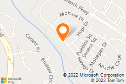 Washington Dulles Transportation