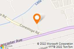 Canine Creature Comforts