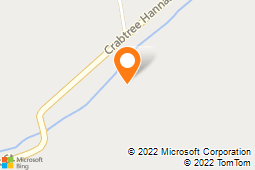 Flowers TLC By Jacque