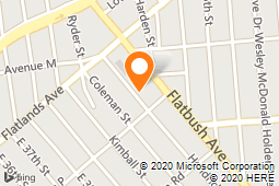 Five Boro Mold Specialist