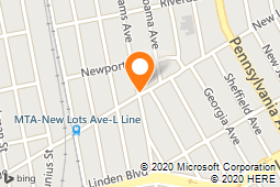 C The Jungle Pet Store