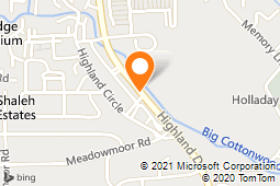 Kami Hair - Bullough Melanie - Olson Christie