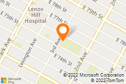 Figure Skating In Harlem