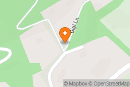 Thunder Services Inc