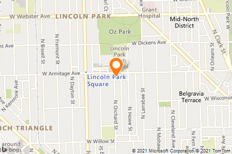 Robinson's No 1 Ribs-Lincoln Park