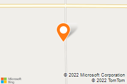 Bill Hogan Tree Service