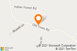 Charlie Brown Chimney Sweep