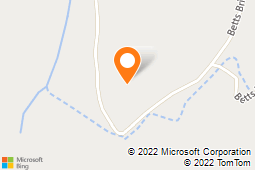 Vitriesse Glass Studio